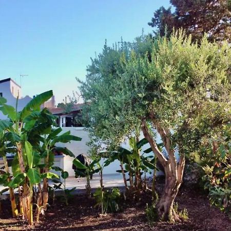 Villa Mare Blue Sr Nuovissima Villa 150M Dal Mare Adatta A Bambini Terrauzza Zewnętrze zdjęcie