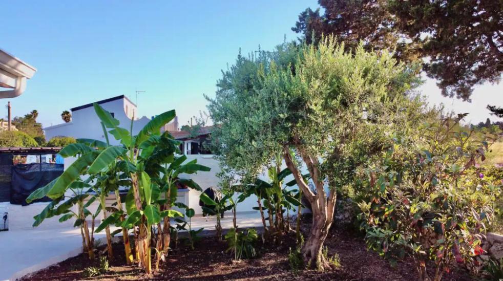 Villa Mare Blue Sr Nuovissima Villa 150M Dal Mare Adatta A Bambini Terrauzza Zewnętrze zdjęcie